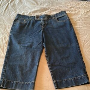 Lane Bryant Light Blue Denim Shorts